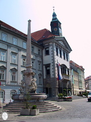 Ljubljana fountain near cathedral