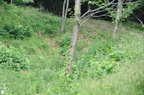 DSC 2729