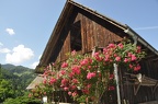 DSC 5357